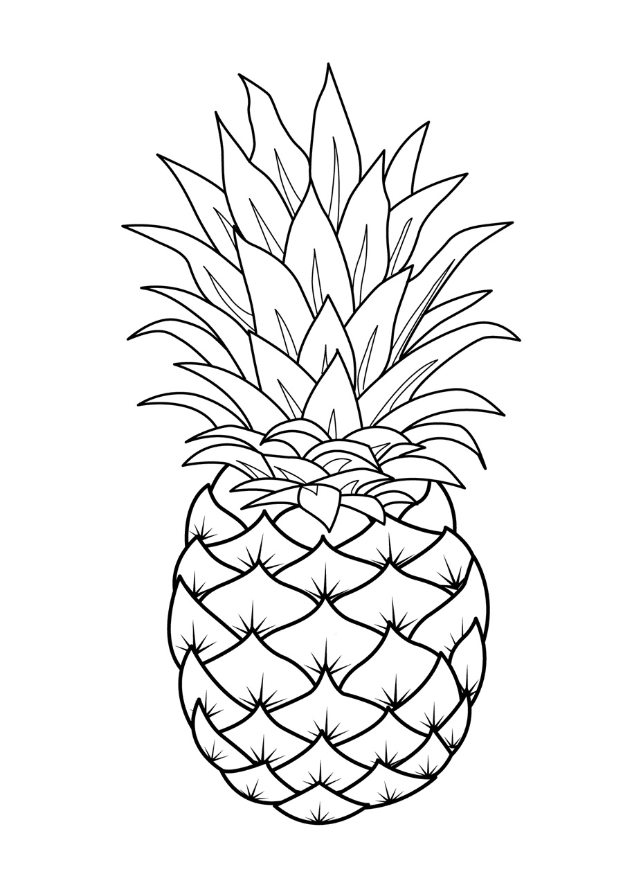 900x1262 Pineapple and fruits to color Picture Pineapples Clipart