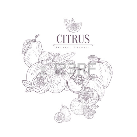 450x450 Fruit Smoothie In A Jar Hand Drawn Realistic Detailed Sketch