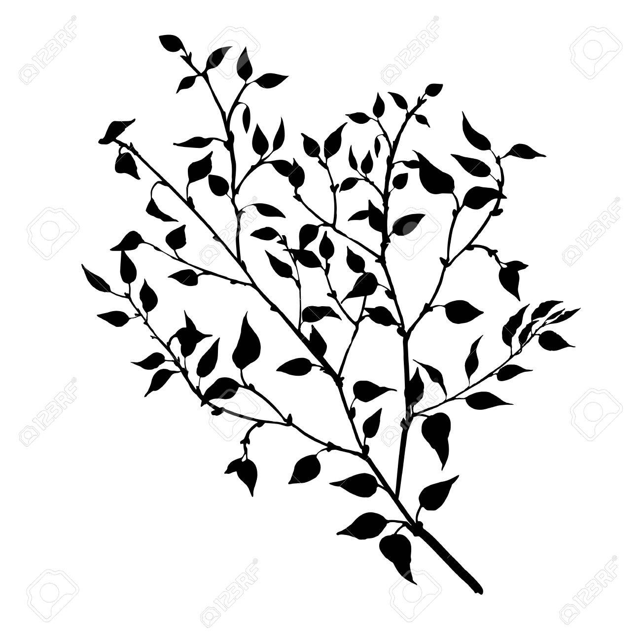 1300x1300 Tree Branches With Leaves And Berries, Fruit Trees Twig,isolated