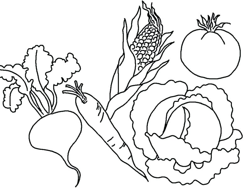 800x600 Vegetable Coloring Pages Together With Phone Coloring Fruits