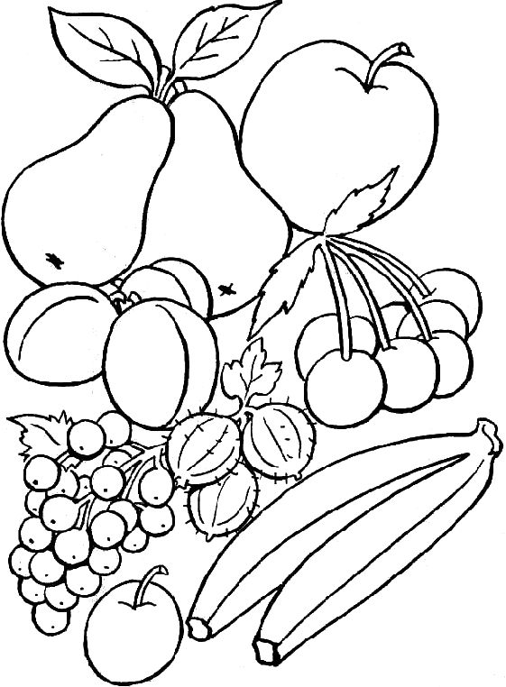 561x762 Coloring Basket Of Fruits Picture