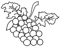 254x199 Drawing And Coloring Blog Fruits Kids Coloring Pages