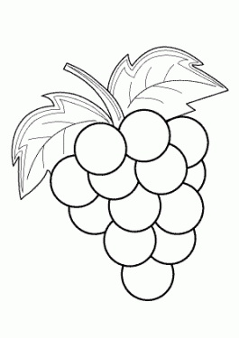 265x375 Gallery Fruits Drawing For Kid,