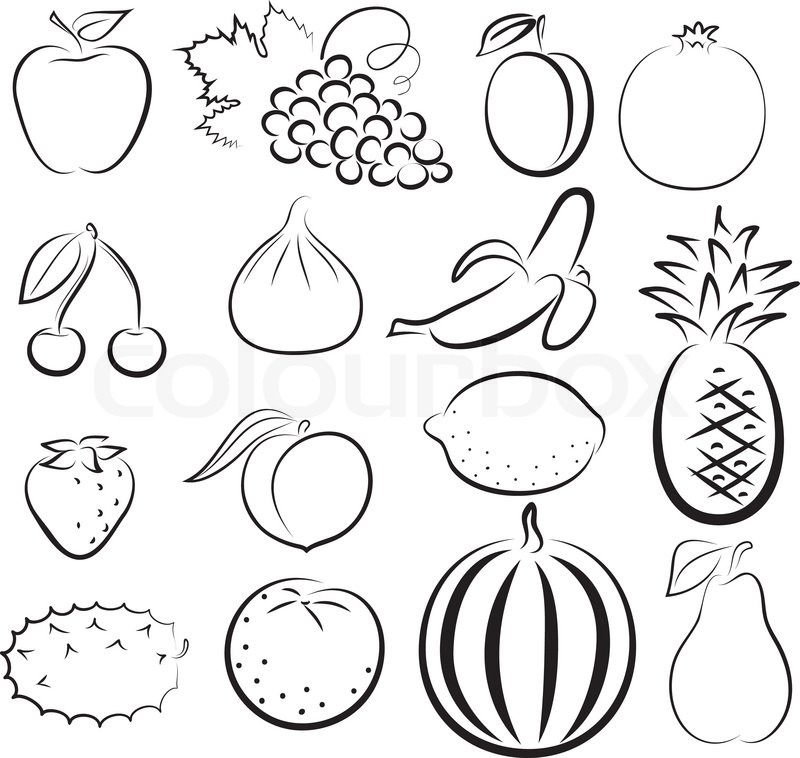 800x758 Set Of Outline Sketch Of Different Fruits Stock Vector Colourbox