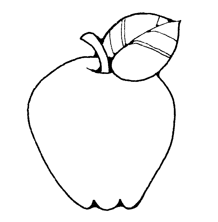 Fruits Drawing