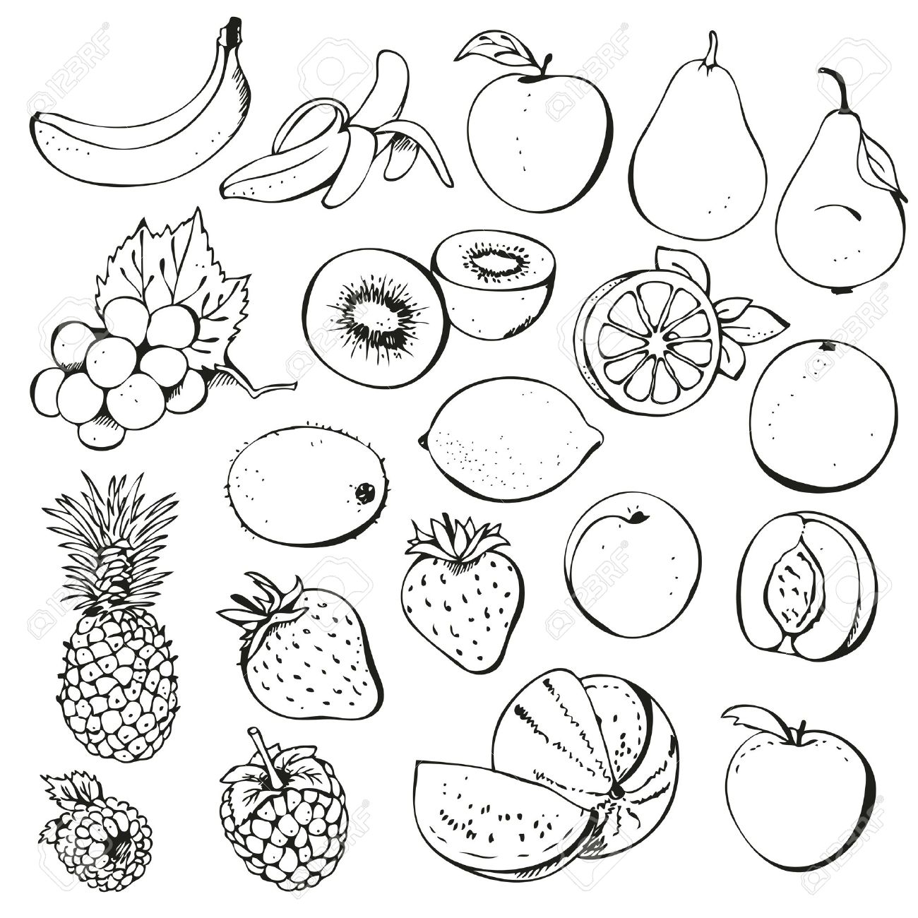 1300x1300 Drawn Fruit Black And White