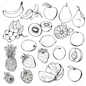300x300 Set From Fruit And Berries Drawing Sketch Stock Vector Image Ink