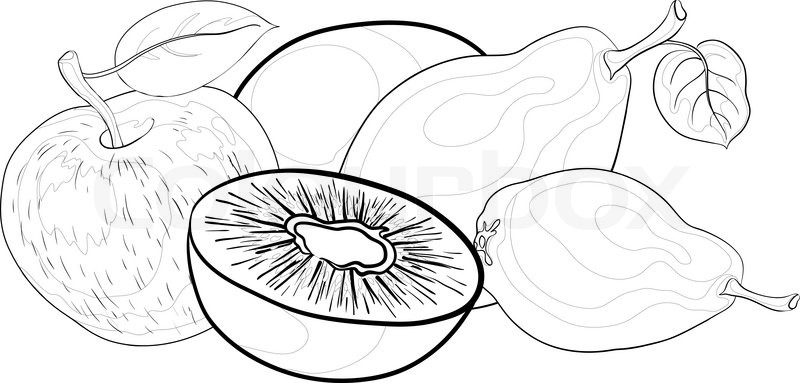 800x383 Still Life, Food, Fruits, Contours On A White Background Pears