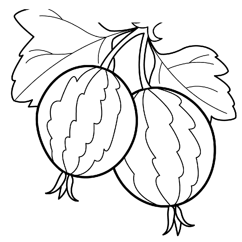 1000x998 Types Of Fruits Coloring Pages Nature And Food Types Coloring Pages
