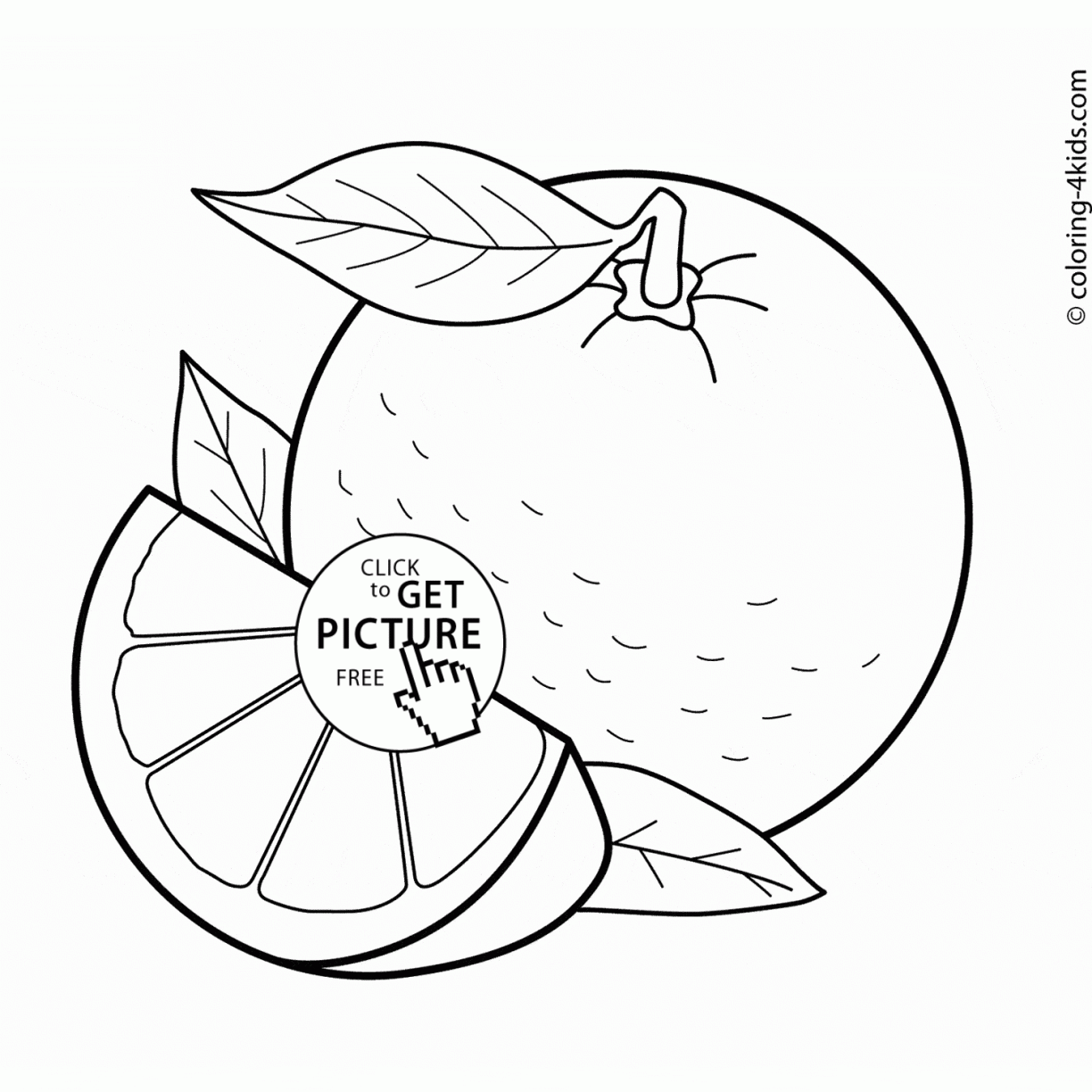 1224x1224 Charming Beautiful Free Oranges Fruit Coloring Pages Printable
