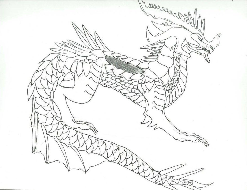 1017x786 Dragon Full Body By Shewolfspirit