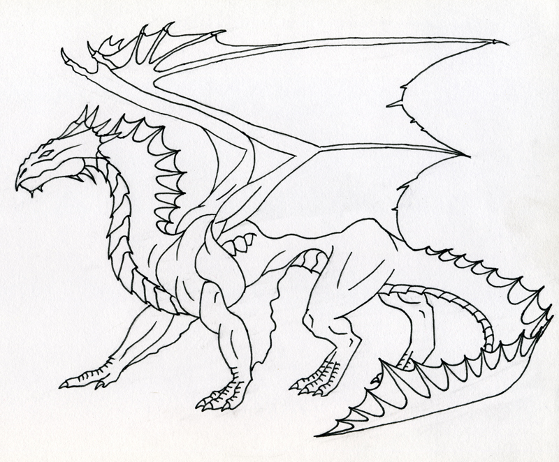 800x662 Bronze Dragon Line Art By Kamakazi32