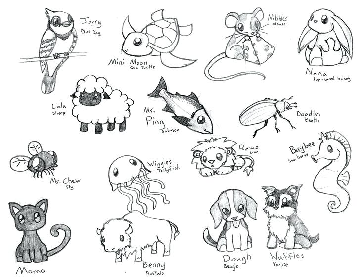 736x560 Coloring Pages Cute Animals Full Size Of Coloring Animal Pictures