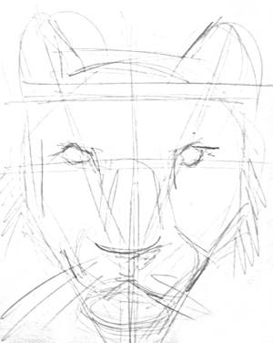 300x376 How To Draw A Tiger Face