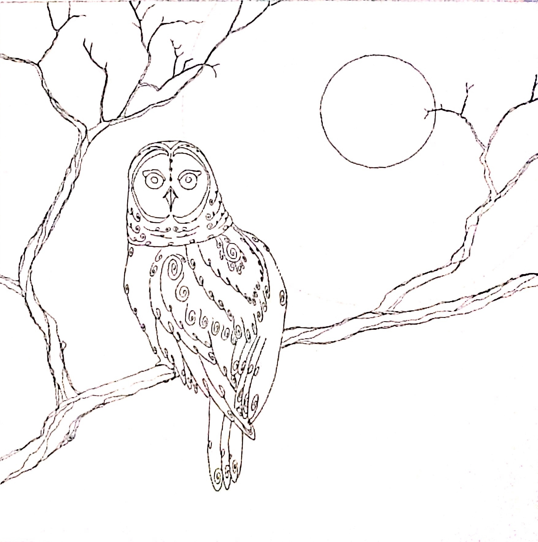 1762x1775 Drawing For Oak Moon Drum