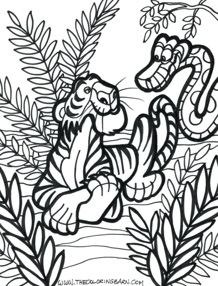 728x954 Jungle Printable Coloring Pages Also Drawing Wild Jungle Animals