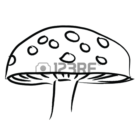450x450 323 Hand Drawn Fungi Stock Vector Illustration And Royalty Free