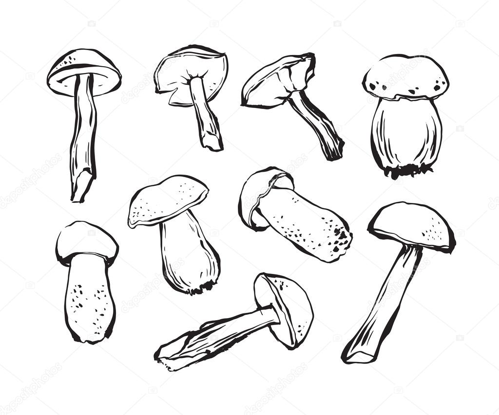 1024x853 Had Draw Illustration Of Mushroom Stock Vector Joycolor