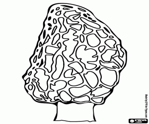 300x250 Mushrooms Coloring Pages Printable Games
