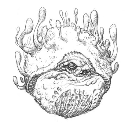 432x404 Prescott Draw Blog Can You Get Fungus From Aggregate