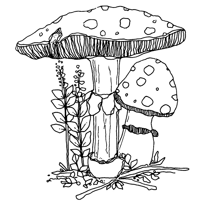 800x800 Scanlon Cling Mount Stamp