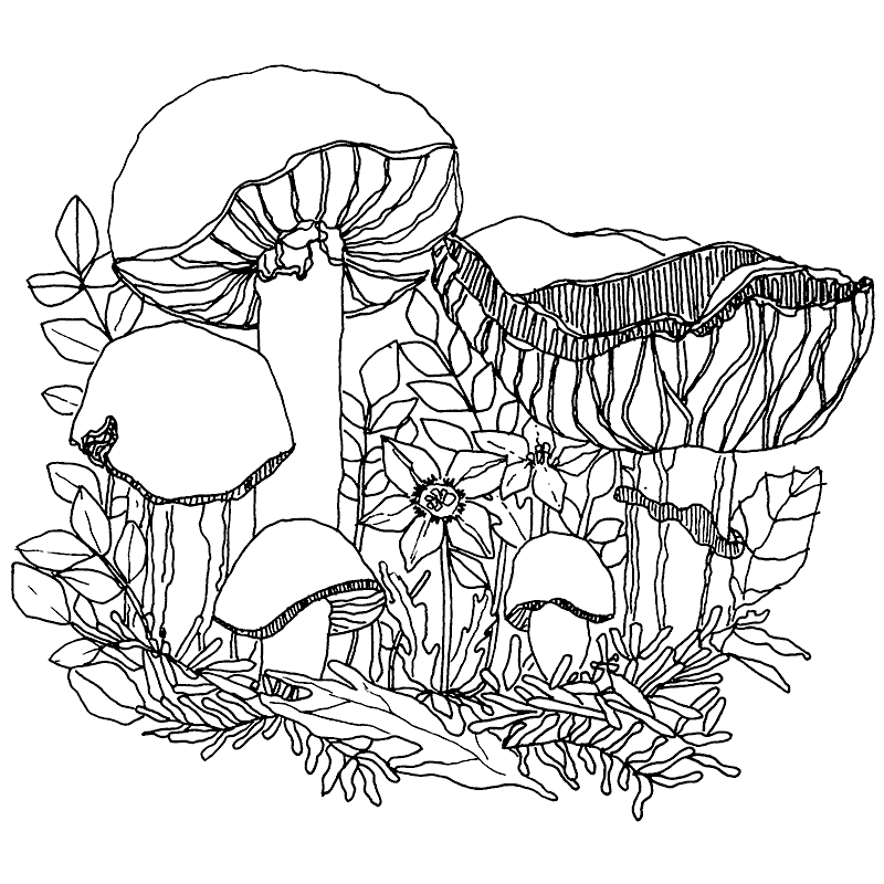 800x800 Scanlon Cling Mount Stamp