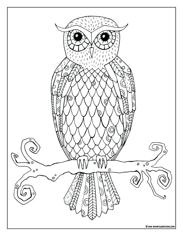 600x776 Coloring Pictures Of Owls Media