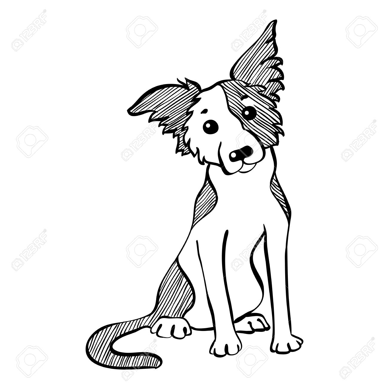 1300x1300 Sketch Funny Dog Border Collie Breed Sitting Hand Drawing Vector