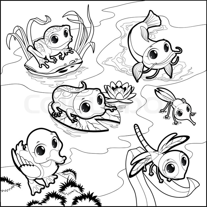 800x800 Funny Animals In The Pond. Cartoon Vector Illustration In Black