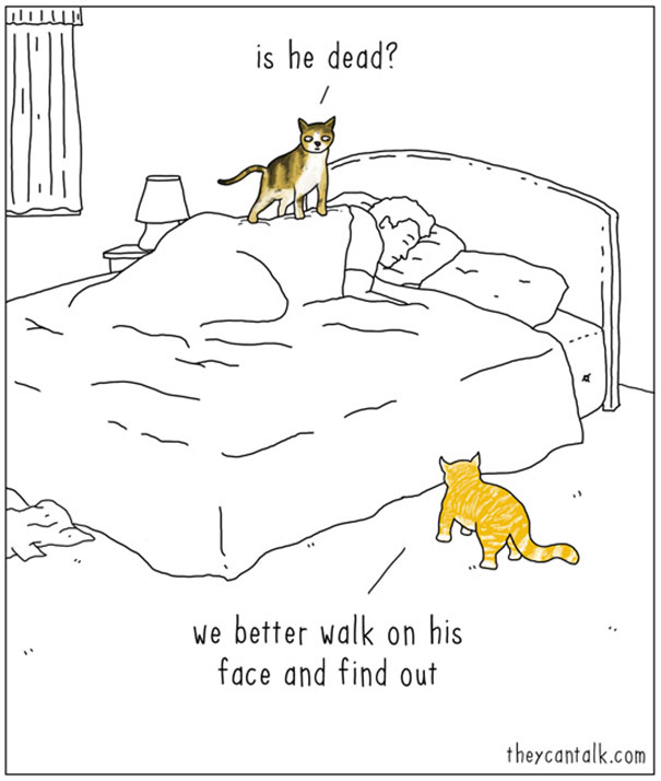 605x714 These Comics Of Animals Talking To Each Other Will Make You Laugh