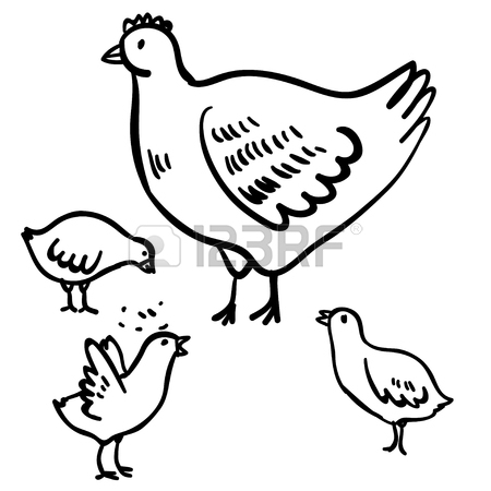 450x450 Vector Illustration With Four Doodle Cute Chicken And Hen