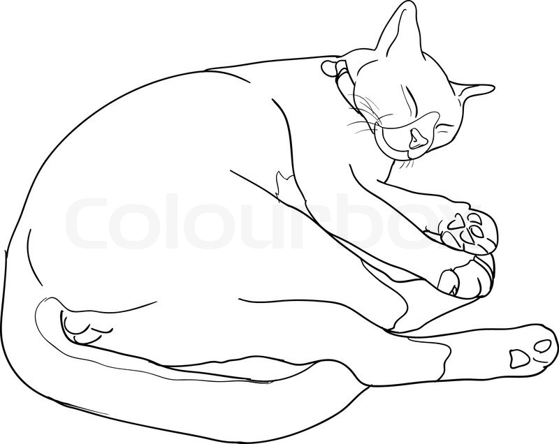 800x636 Sleeping Cute Cat Stock Vector Colourbox