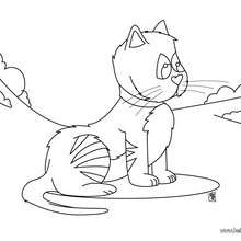 220x220 Cat Coloring Pages