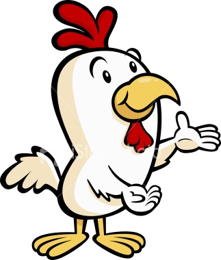 323x380 16 Best Chickens Images On Chicken, Funny Images