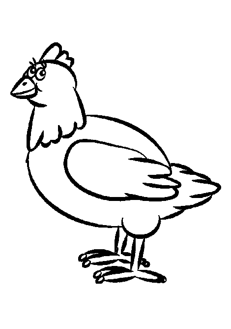 470x668 Funny Chicken With Big Fur Chickens Funny Chicken