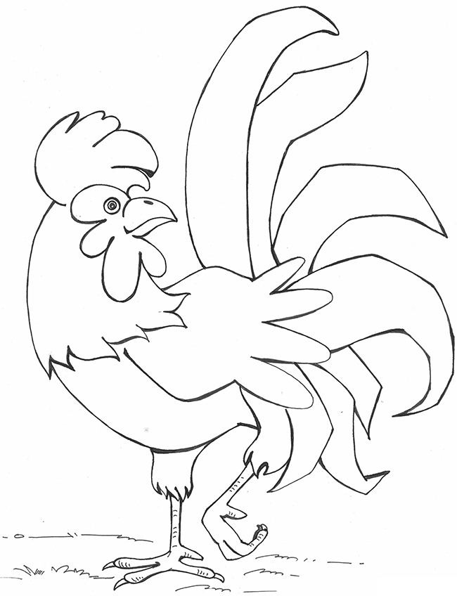 650x848 Chicken Template