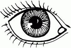 236x161 Eye Drawings Clip Art