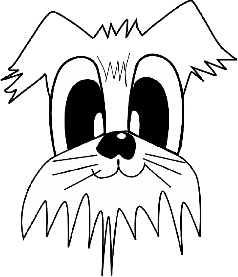 800x929 Free Pictures Eyes