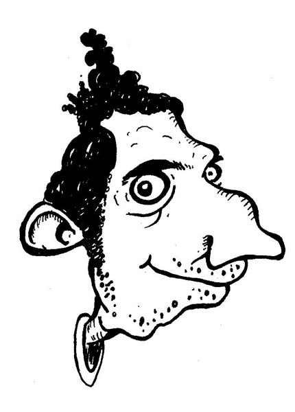 430x600 Face O' Comics Funny Cartoon Face With Wild Hair Do