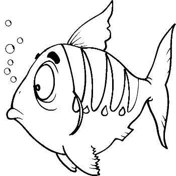 350x350 Colours Drawing Wallpaper Fish Cartoone Colour Drawing Hd Wallpaper