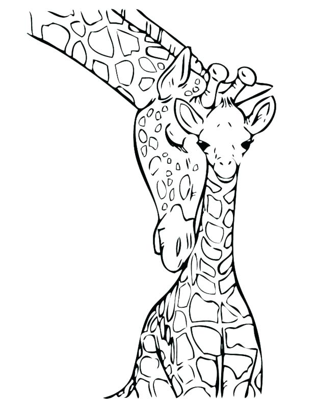 618x800 Kids Coloring Pages To Print Giraffe Coloring Pages Giraffe