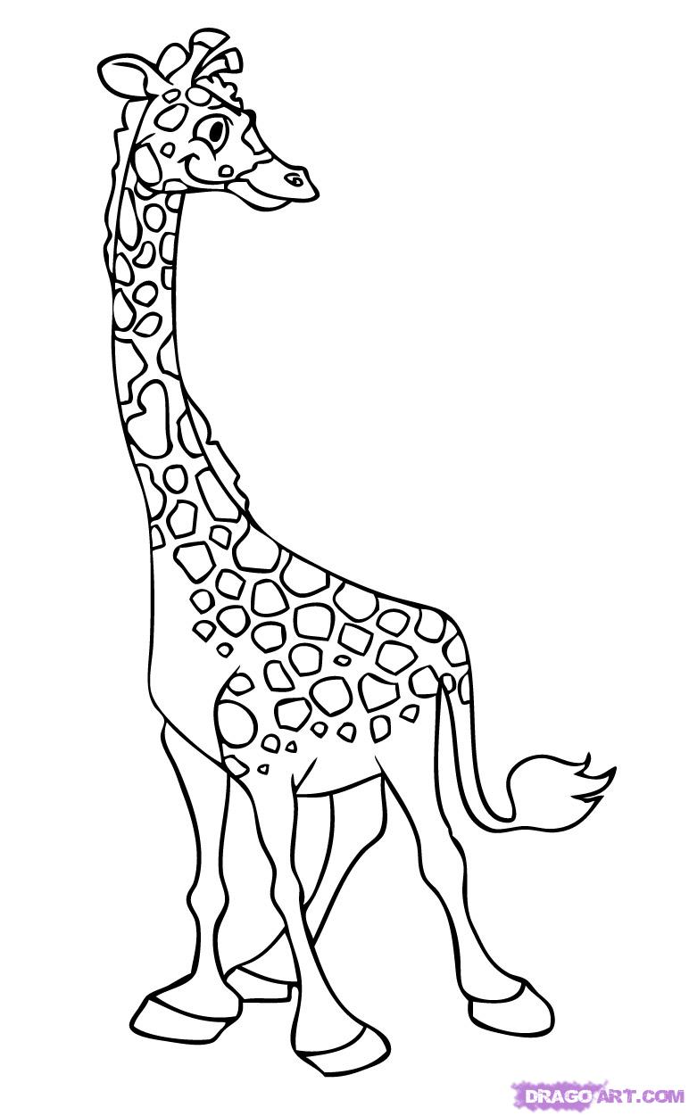 772x1251 Pictures Giraffe Cartoon Drawing,