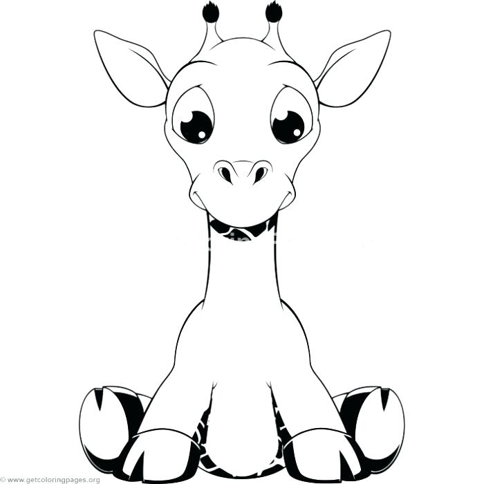 700x700 Cute Giraffe Coloring Pages