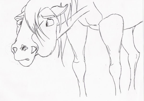 600x422 Funny Face Horse Lineart By Mustang Spirit