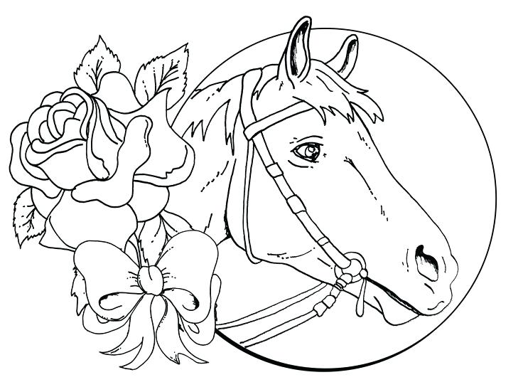 736x551 Pretty Horse Coloring Pages For Girls Printable In Funny Draw Page