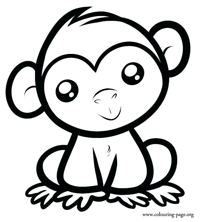 700x774 Elegant Coloring Pages Of Monkey New Best Colouring Images