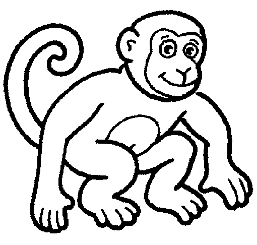 510x486 Funny Monkey Pictures Cartoon Monkey Pictures Desktop