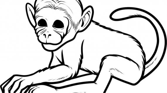 570x320 How To Draw Monkeys Drawing Tutorial How To Draw A Funny Monkey