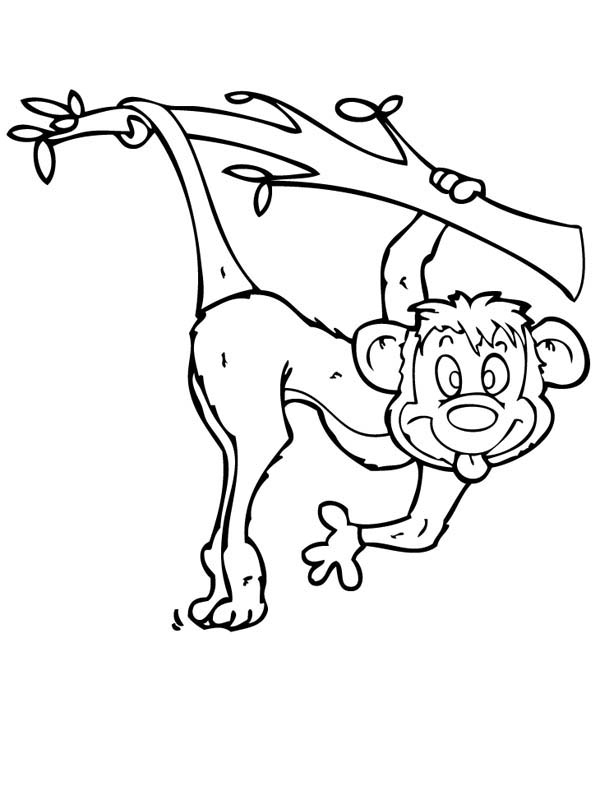 600x800 Monkey Make Funny Monkey Face Coloring Page
