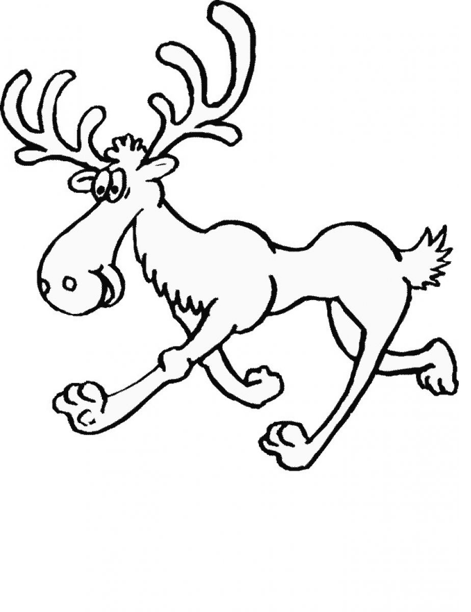 924x1199 Bull Moose Animal Coloring Pages